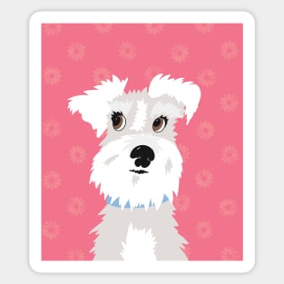 White Miniature Schnauzer Dog with Pink Daisies Sticker